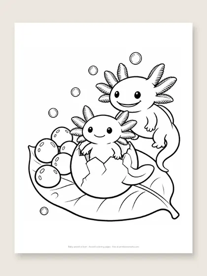Baby axolotl is born: axolotl coloring page