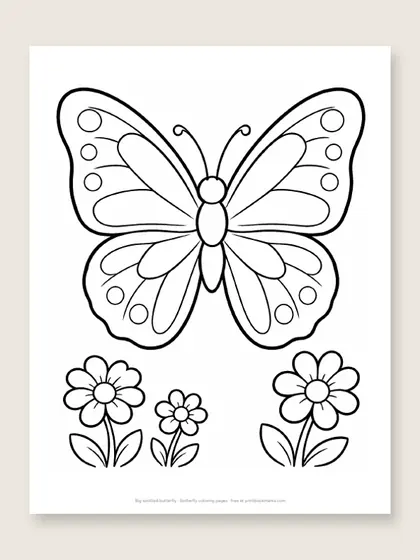 Big spotted butterfly: butterfly coloring page