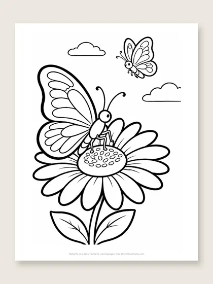 Butterfly on a daisy: butterfly coloring page