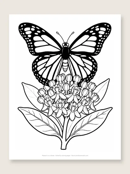 Monarch on a flower: butterfly coloring page