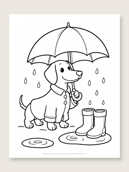 Dachshund in the rain: dog coloring page