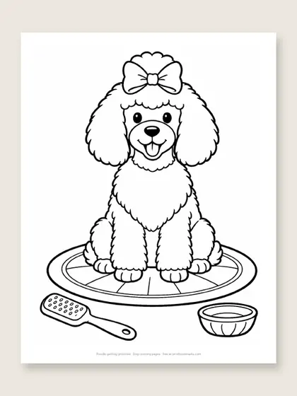 Poodle getting groomed: dog coloring page