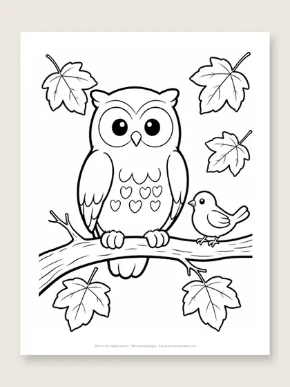 Owl on the maple branch: owl coloring page