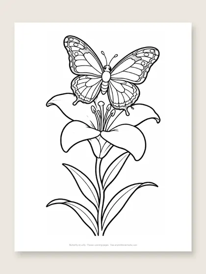 Butterfly on a lily: flower coloring page