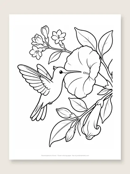 Hummingbird at a flower: flower coloring page