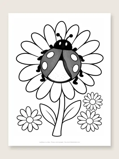 Ladybug on a daisy: flower coloring page