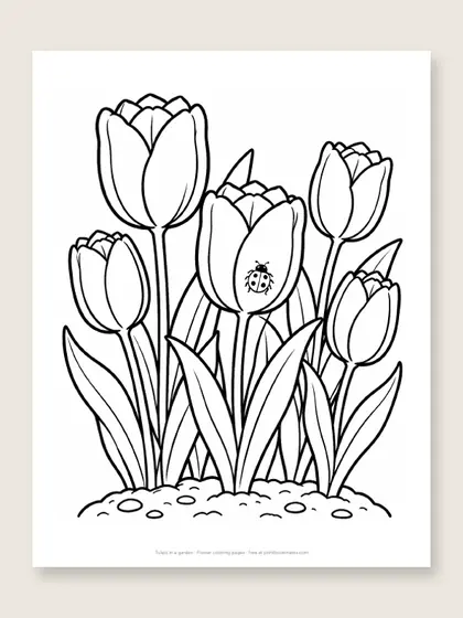 Tulips in a garden: flower coloring page