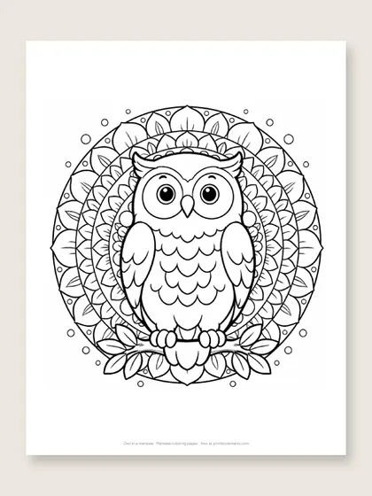 Owl in a mandala: owl coloring page