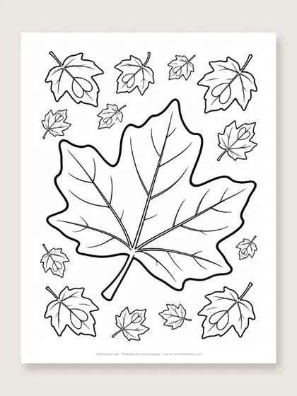 Giant maple leaf: Thanksgiving coloring page