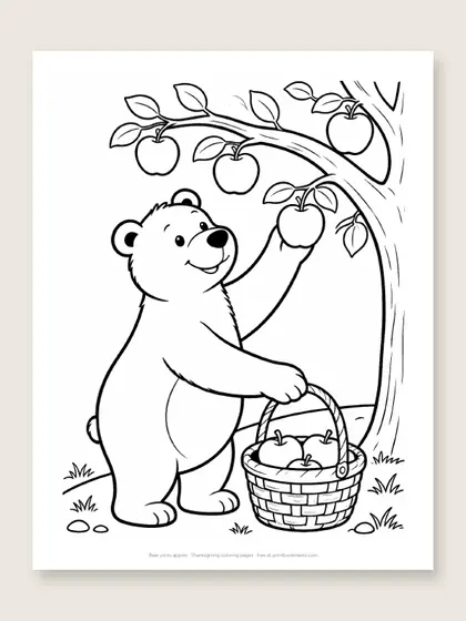 Bear picks apples: bear coloring page
