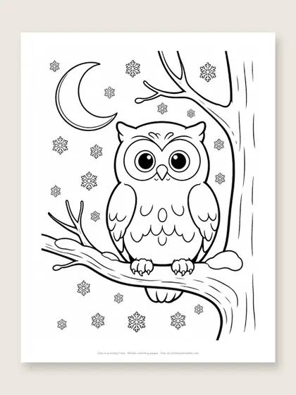 Owl in a snowy tree: winter coloring page
