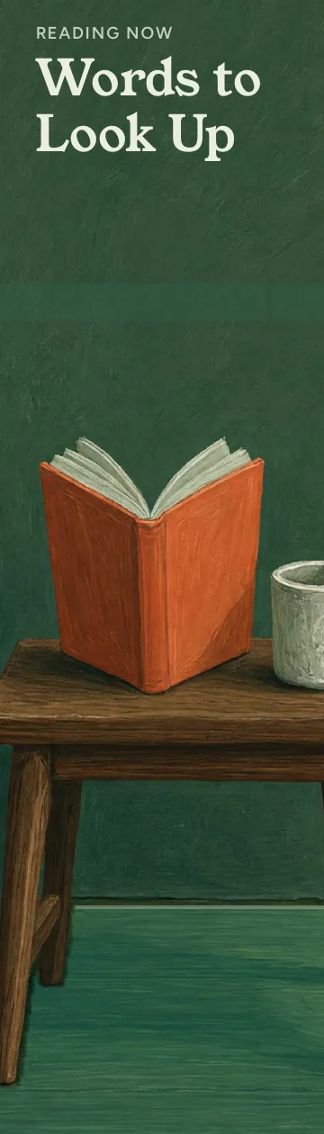 Reading Now, Words to Look Up: illustrated front.