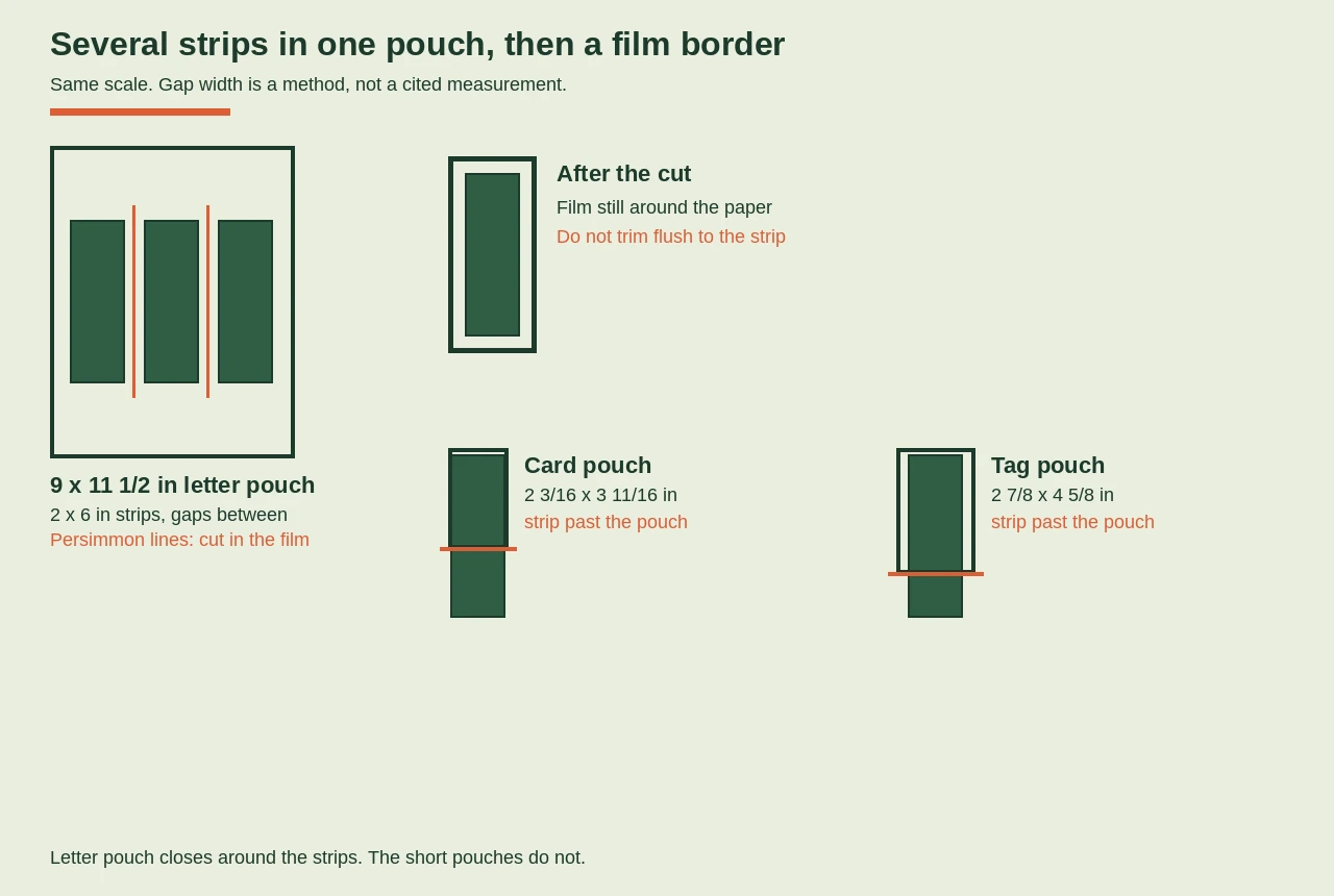 Scale drawing of a 9 by 11 1/2 inch letter pouch holding three 2 by 6 inch strips with even gaps and persimmon cut lines through the gaps, a cut-out strip with film showing around the paper, and a business-card pouch and a luggage-tag pouch with the same strip running past their ends.